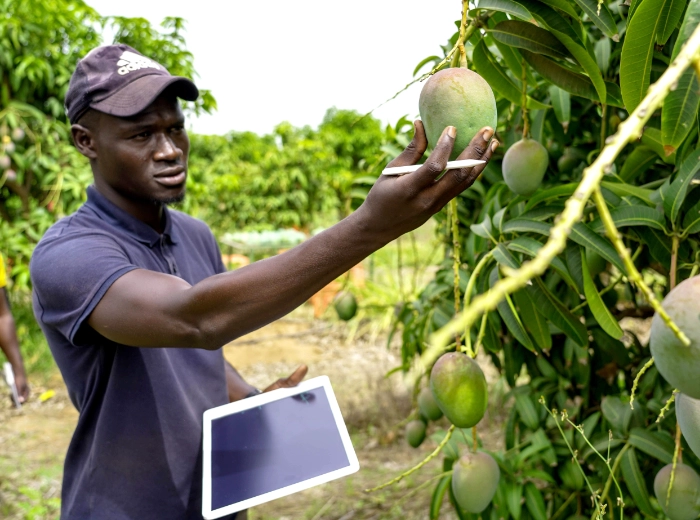 Agriculture workers