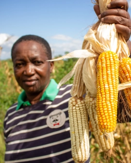 Farm worker