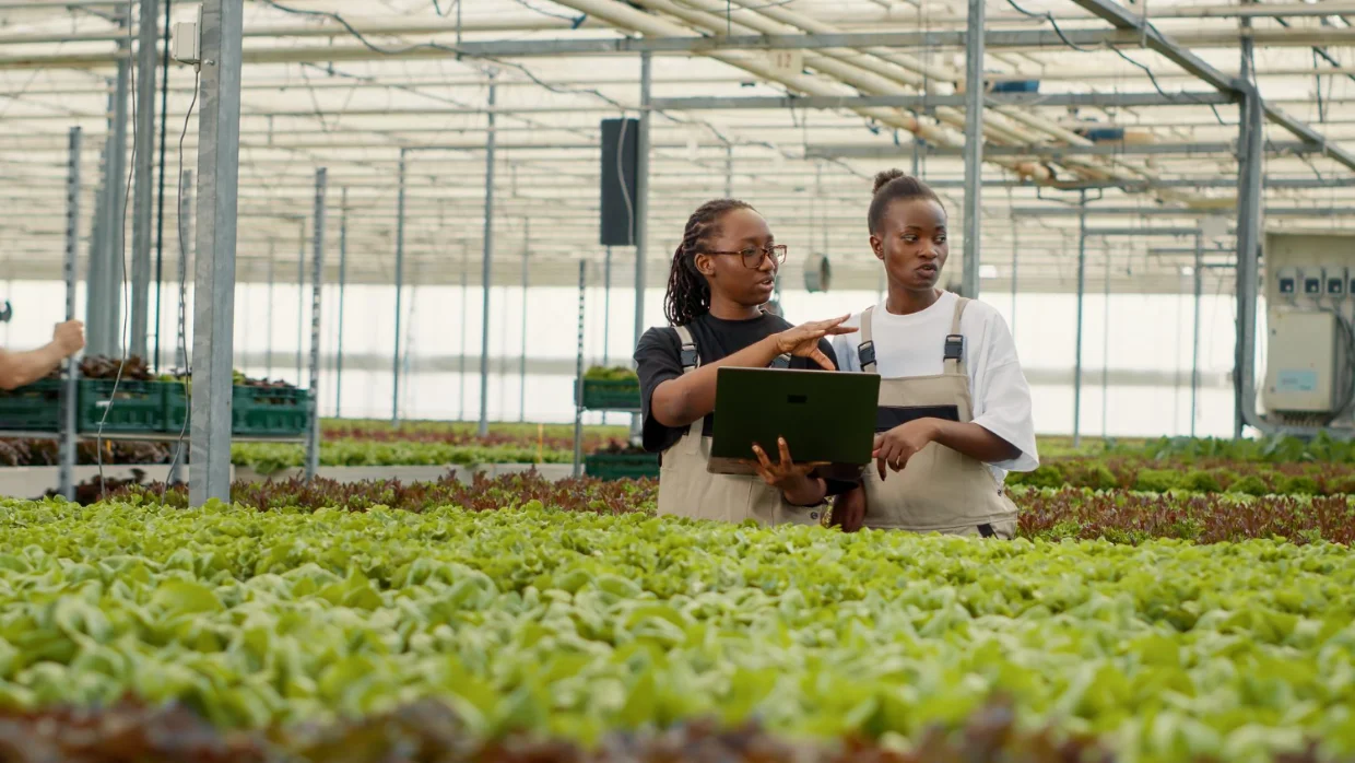 Farm workers